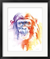 Chimpanzee II Framed Print
