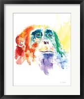 Chimpanzee I Framed Print