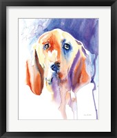 Basset Hound Fine Art Print