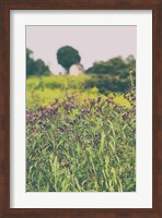 Roadside Flowers Fine Art Print