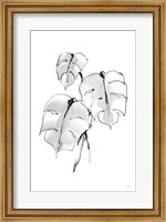 Wash Split Leaf I Fine Art Print