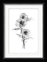 Wash Anemone II Fine Art Print