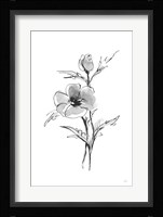 Wash Anemone I Fine Art Print