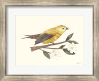 Birds and Blossoms I Fine Art Print