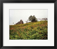 Oregon Coast Fine Art Print