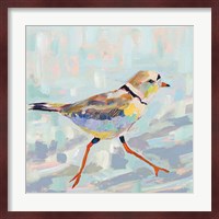 Coastal Plover I Neutral Fine Art Print