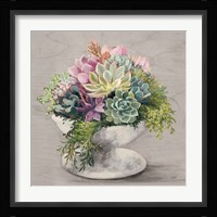 Festive Succulents II Gray Fine Art Print
