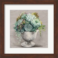 Festive Succulents I Gray Fine Art Print