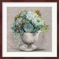 Festive Succulents I Gray Fine Art Print
