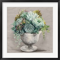 Festive Succulents I Gray Fine Art Print