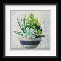 Succulent Still Life II Navy Framed Print