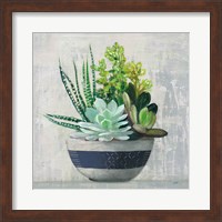 Succulent Still Life II Navy Fine Art Print