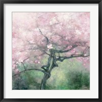 Blooming Apple Tree Framed Print
