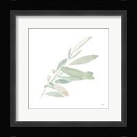 Sage I Fine Art Print