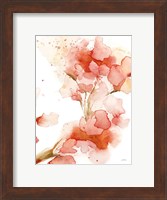 Blossoms II Fine Art Print