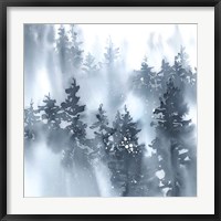 Misty Forest I Fine Art Print