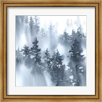 Misty Forest I Fine Art Print