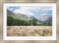 Scottish Highlands III Fine Art Print