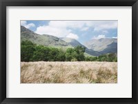 Scottish Highlands III Framed Print