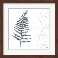 Nordic Fern I Fine Art Print