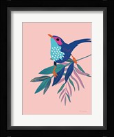 Exotic Birds IV Framed Print