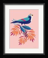 Exotic Birds III Framed Print