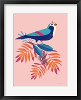 Exotic Birds III Framed Print