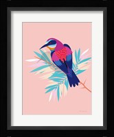 Exotic Birds II Framed Print