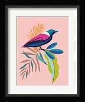Exotic Birds I Framed Print