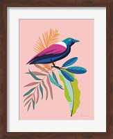 Exotic Birds I Fine Art Print
