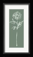 Floral Line II Green Framed Print