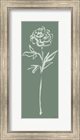 Floral Line II Green Fine Art Print