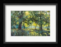 Through Silent Trees Fine Art Print