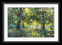 Through Silent Trees Fine Art Print