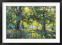 Through Silent Trees Fine Art Print