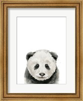 Baby Panda Fine Art Print