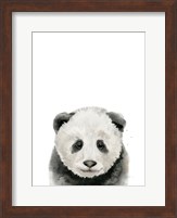 Baby Panda Fine Art Print