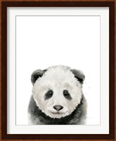 Baby Panda Fine Art Print