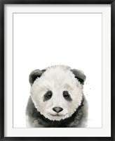 Baby Panda Fine Art Print