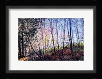 One Two Tree Fine Art Print