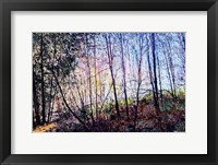 One Two Tree Fine Art Print