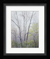 Early Spring Fine Art Print