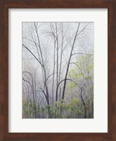 Early Spring Fine Art Print