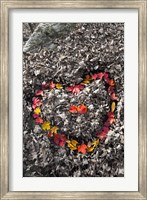 Love in the Leaves Fine Art Print
