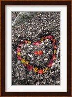 Love in the Leaves Fine Art Print