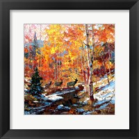 Elk and Aspens Fine Art Print