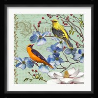 Oriole Bird Botanical Framed Print