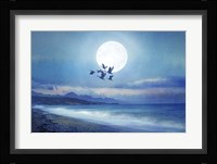 Birds Flying 2 Framed Print