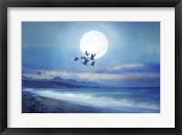 Birds Flying 2 Framed Print