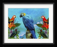 Bird Kingdom 4 Fine Art Print